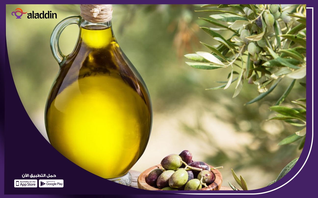 تكلفة-مشروع-انتاج-زيت-الزيتون