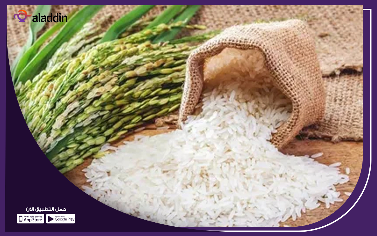 دراسة-جدوى-مشروع-مضرب-ارز