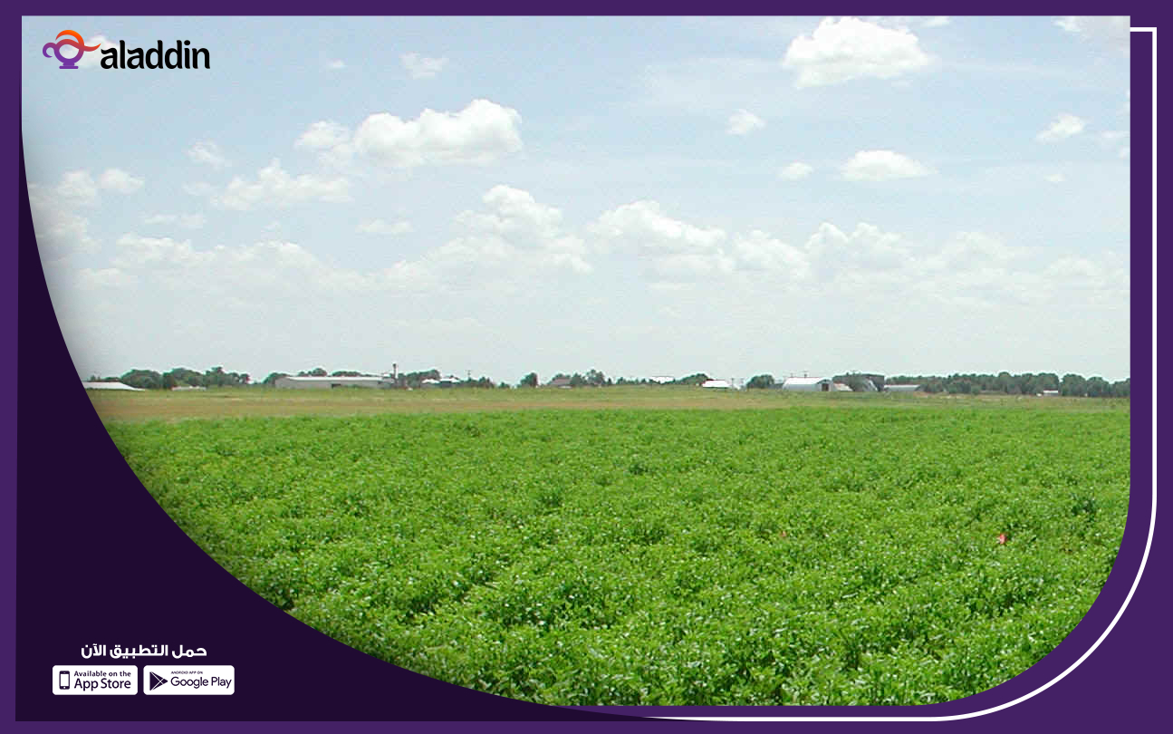 محل-بيع-الأدوات-والمعدات-الزراعية