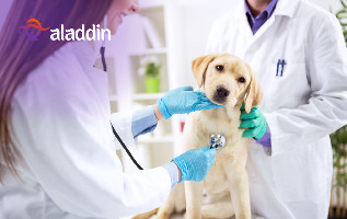 طب بيطري